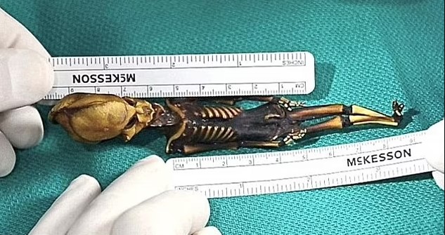 Researcher reveals mummified fetus with elongated skull could be alien 5
