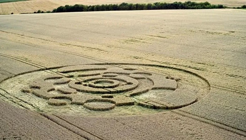 People are just learning why they never hear about crop circles anymore 5