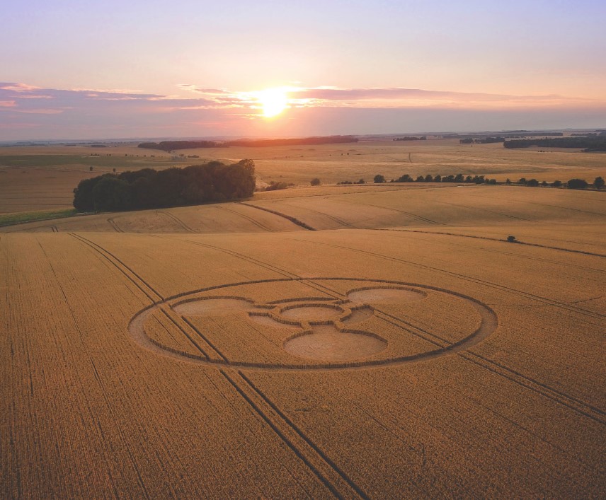 People are just learning why they never hear about crop circles anymore 6