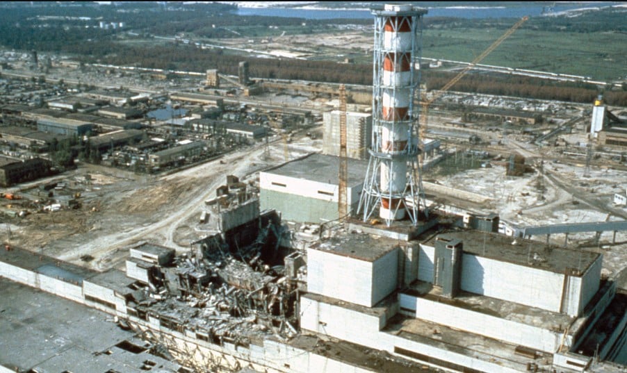 Animal's response to extreme radiation at Chernobyl left scientists baffled 2
