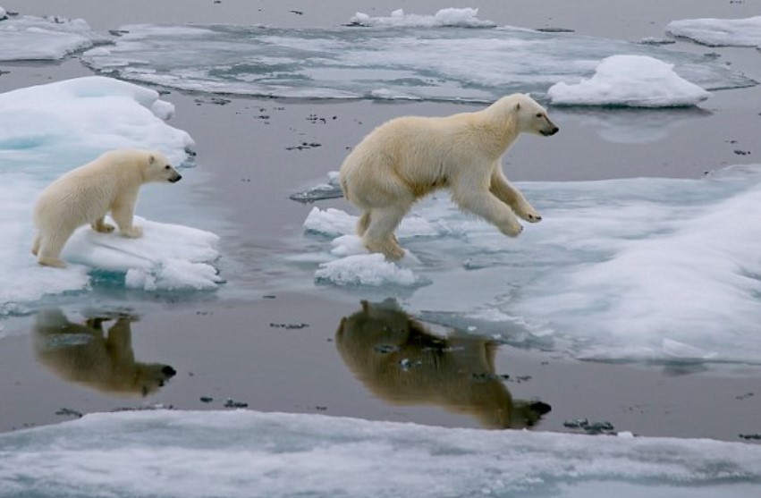 Climate change is one of the causes of concern for Stephen Hawking. Image Credit: Getty