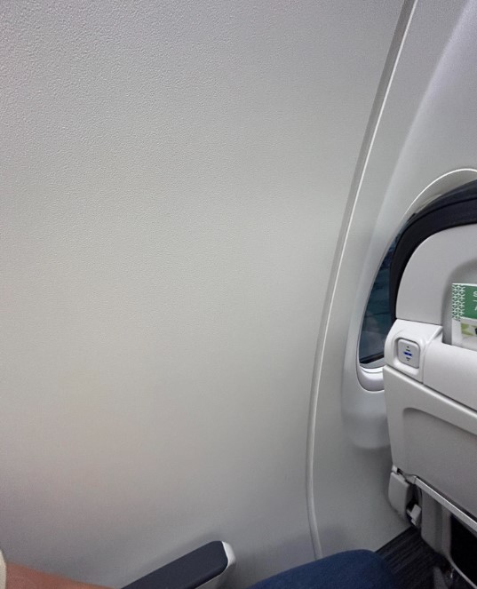American airline passenger gets furious after being put in window seat that has no window 5