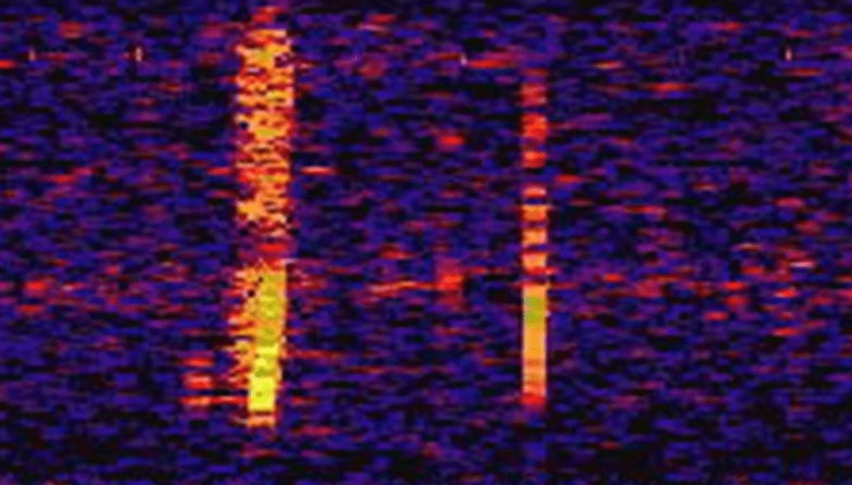 Experts investigated the mysterious sound, named 