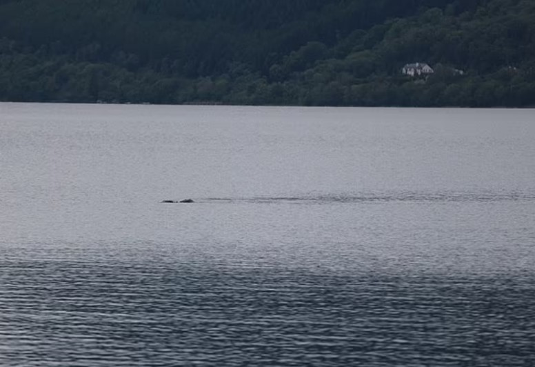 Photographer sparks debate after revealing captivating pictures of 'Loch Ness Monster' 4