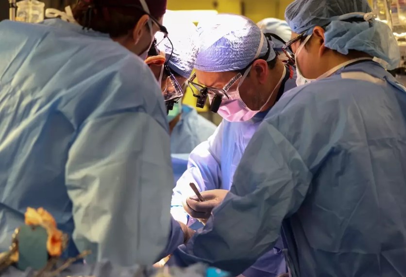 Doctors make breakthrough in medicine after successfully transplanting pig kidney into human 5