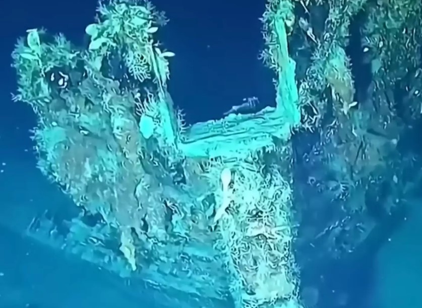 Experts recover $17,000,000,000 shipwreck after lying underwater for 316 years 5