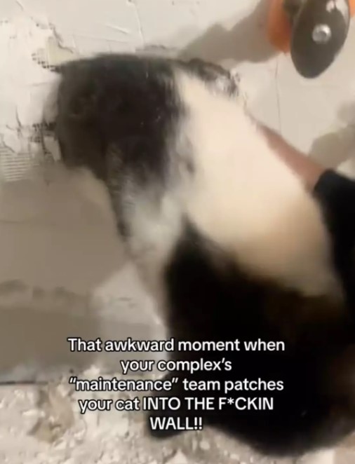 Woman stunned by bizarre noises after destroying kitchen wall 5