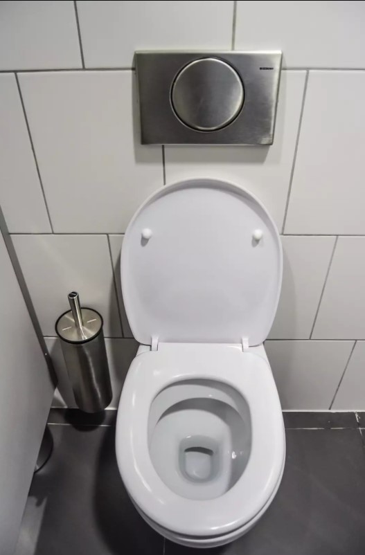 Woman stunned after spotting ex-boyfriend stole her toilet during their breakup 4