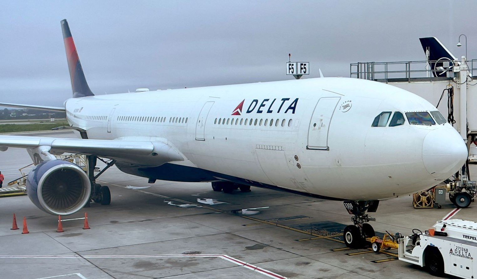 Female DJ accuses Delta Airlines of humiliating her for not wearing bra during a flight 5