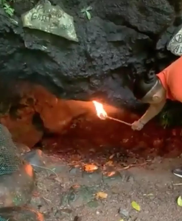Man shows why it is unsafe to enter empty caves, as air inside can be fatal 3