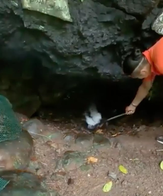 Man shows why it is unsafe to enter empty caves, as air inside can be fatal 4