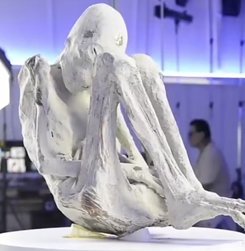 Authorities attempt to seize 'alien mummy' found in Peru due to its mysterious origin 4