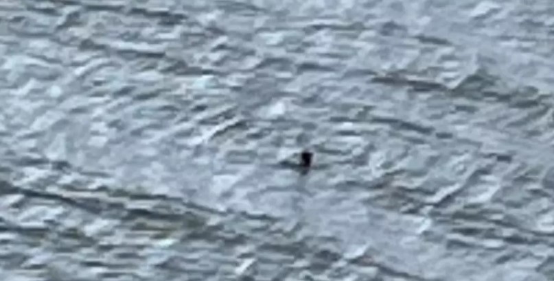 Family claims spotted 'compelling new evidence' of Loch Ness Monster 3