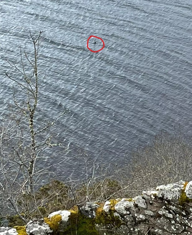Family claims spotted 'compelling new evidence' of Loch Ness Monster 2