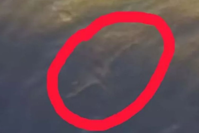 Family claims spotted 'compelling new evidence' of Loch Ness Monster 6
