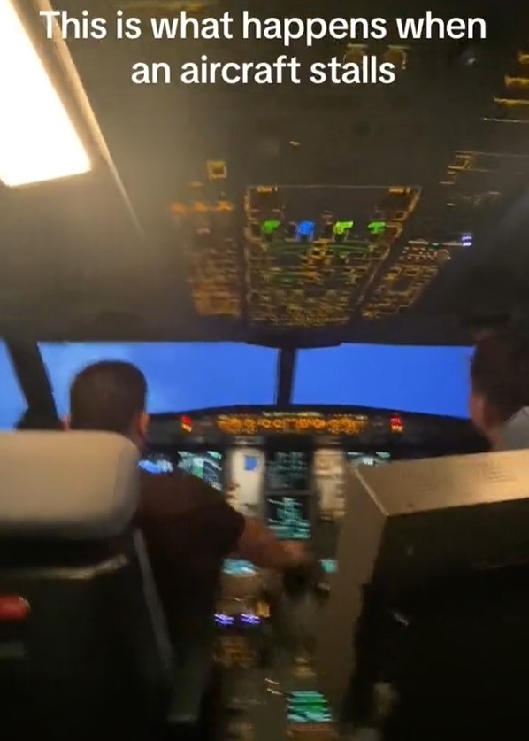 'New fear unlocked' after video showing what happens when a plane stalls 2