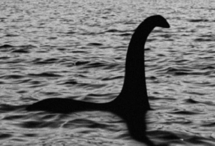 Man captures mysterious 18ft shape while searching for Loch Ness Monster 1
