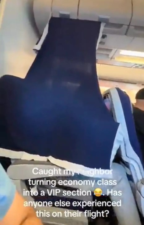 Passenger discovered genius trick to upgrade their economy seat to a VIP without moving 3