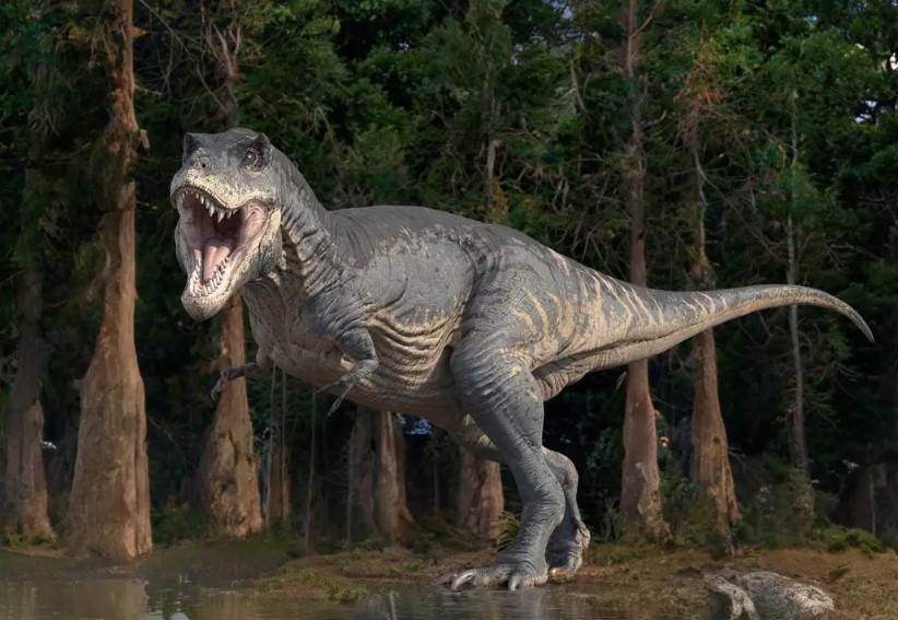 She wondered why people haven't found dinosaur bones in their daily lives. Image Credit: Getty