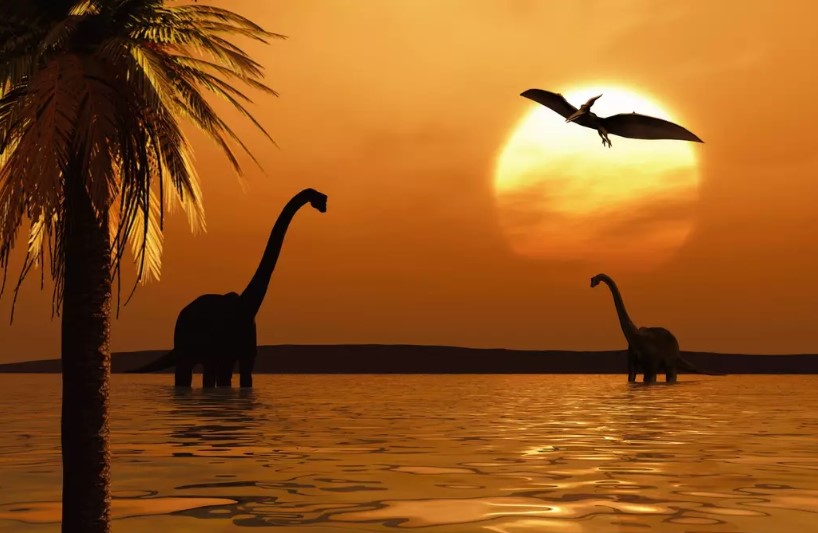 People are questioning why dinosaur bones aren’t everywhere if they really existed 4