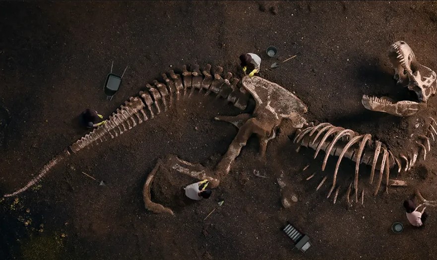 People are questioning why dinosaur bones aren’t everywhere if they really existed 5