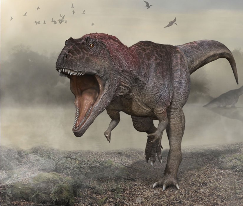 A TikTok video by a conspiracy theorist has sparked debate on dinosaur existence and fossil scarcity. Image Credit: Getty