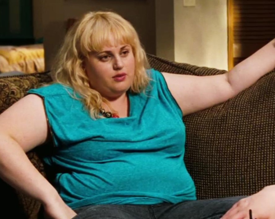 Rebel Wilson accuses Melissa McCarthy of getting the Bridesmaids role for a single reason 2