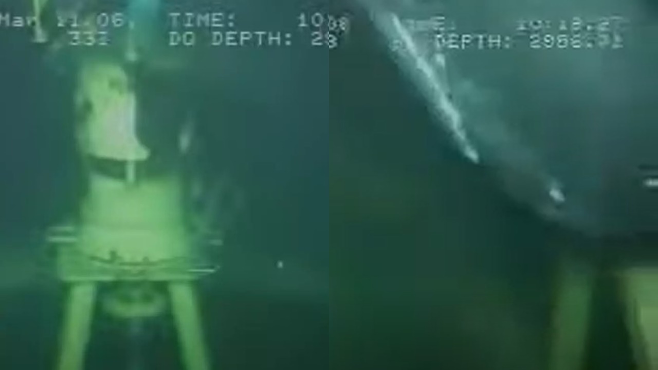 Scientists were amazed as a beautiful sperm whale appeared on their camera from the Canyon Offshore ROV. Image Credit: Youtube