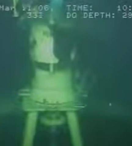 Scientists discovered a deep-sea creature during a 3,000-foot underwater gas line inspection. Image Credit: Youtube