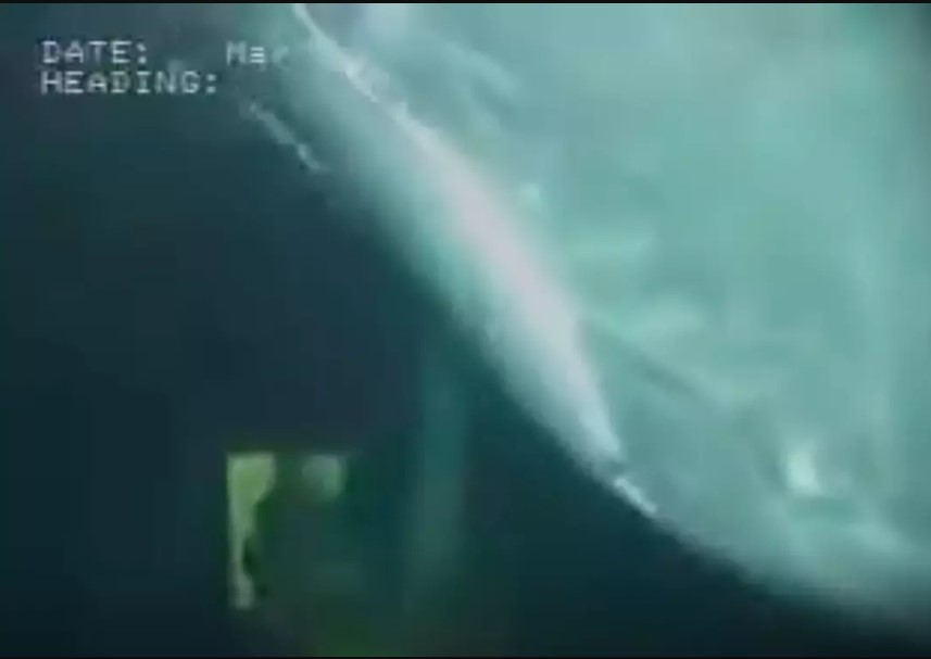 Scientists were surprised by a massive sea creature while exploring the deep ocean. Image Credit: Youtube