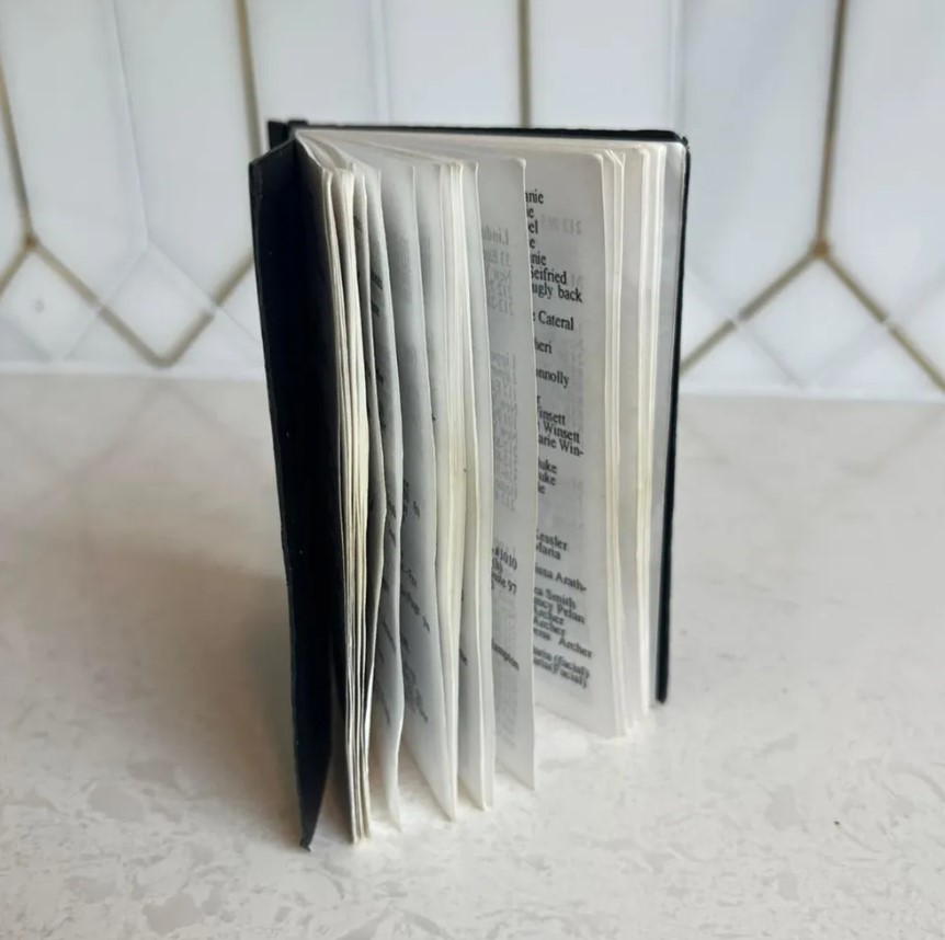 Jeffrey Epstein's 'black book' features 221 names to sell at secret auction 3