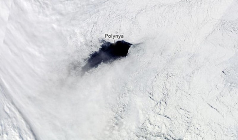 Scientists have solved mystery of huge hole that appeared in Antarctica 5