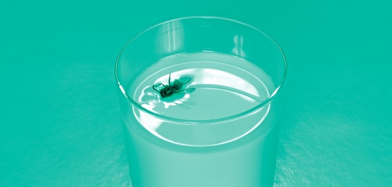 Removing the fly from a beverage makes it generally safe to consume. Image Credit: Getty