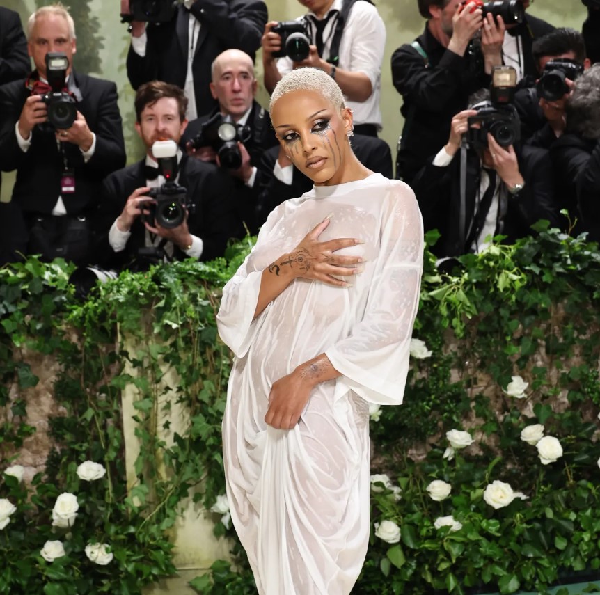 Doja Cat's Met Gala appearance sparks passionate debate among fans and critics. Image Credit: Getty