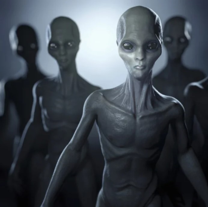 Forensic expert confirms Las Vegas family’s backyard alien video is real with two beings 6
