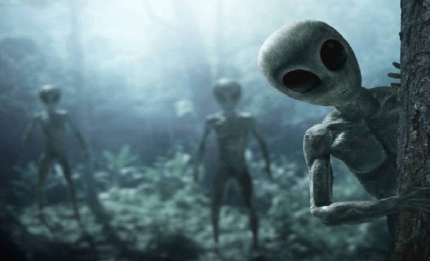 Forensic expert confirms Las Vegas family’s backyard alien video is real with two beings 4