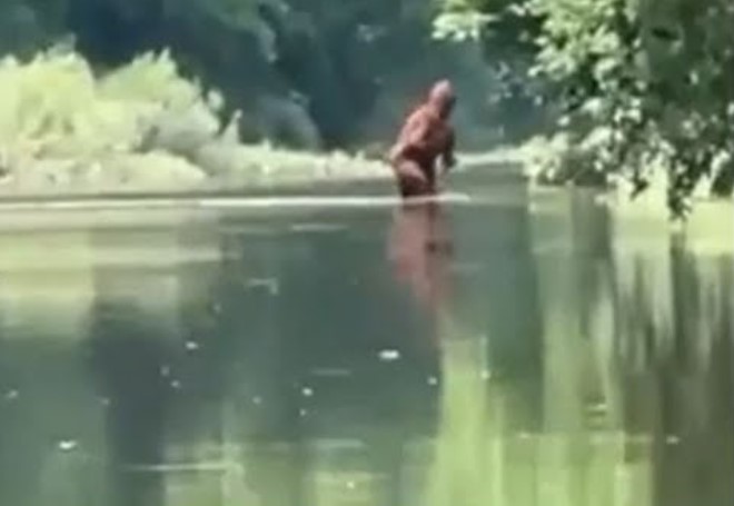People baffled as the 'Bigfoot' sighting caught on a viral video 2
