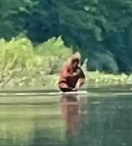 People baffled as the 'Bigfoot' sighting caught on a viral video 3