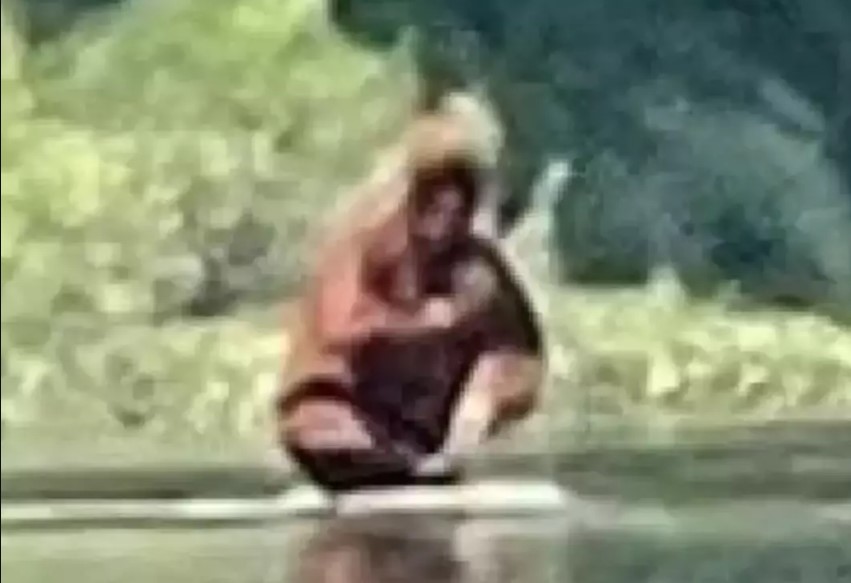 People baffled as the 'Bigfoot' sighting caught on a viral video 4