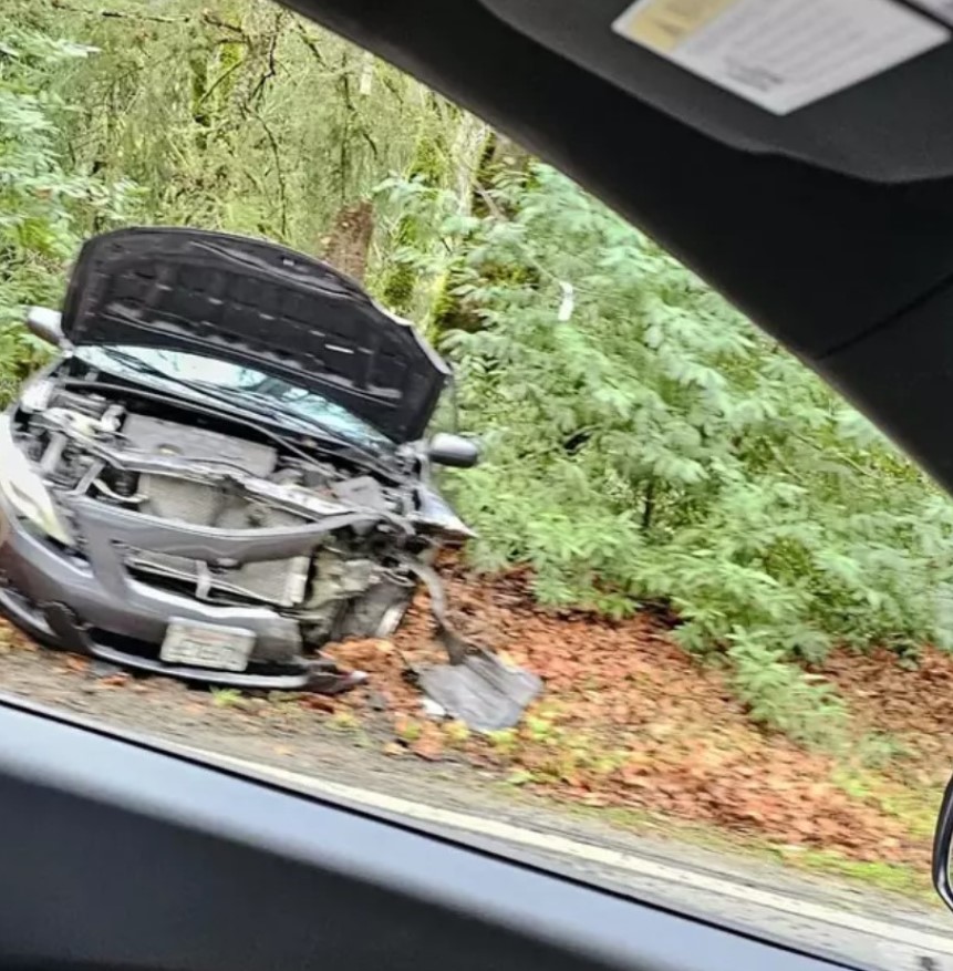 Tesla car took lives of three people after traveling at speeds over 100mph 8