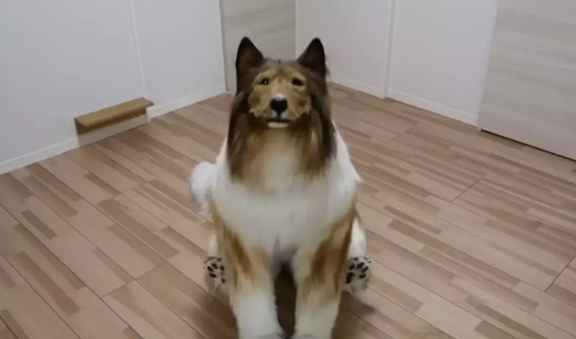 Man spends $20K to transform into a dog now wants to become another animal 3