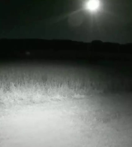 Hidden camera captured 'ghost soldiers' wandering around Gettysburg field 4