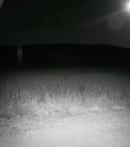 Hidden camera captured 'ghost soldiers' wandering around Gettysburg field 5