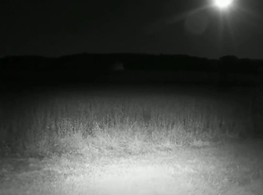 Hidden camera captured 'ghost soldiers' wandering around Gettysburg field 6