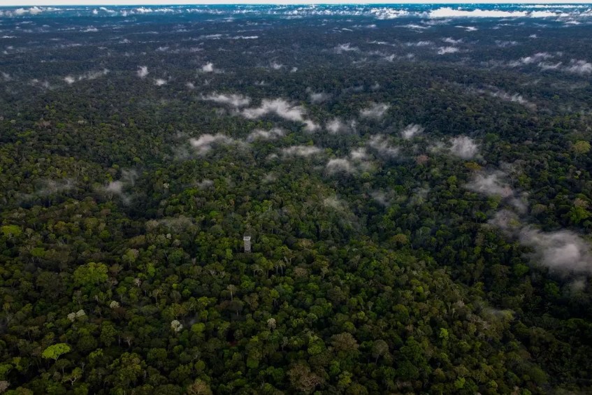 Isolated Amazon tribe addicted to social media after being given internet access by Elon Musk 3