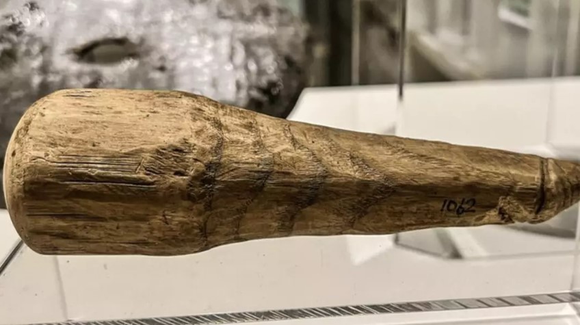 Scientists found a small, seven-inch object in ancient Roman ruins, suspected to be a dildo. Image Credit: The Vindolanda Trust