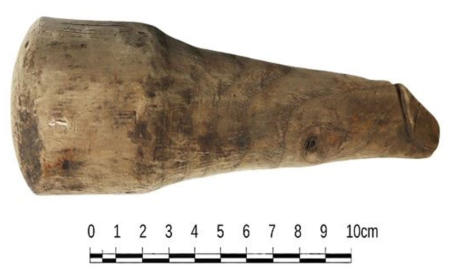 The object found in Roman ruins, potentially a dildo, could have been used as a good luck charm or a sex toy. Image Credit: The Vindolanda Trust