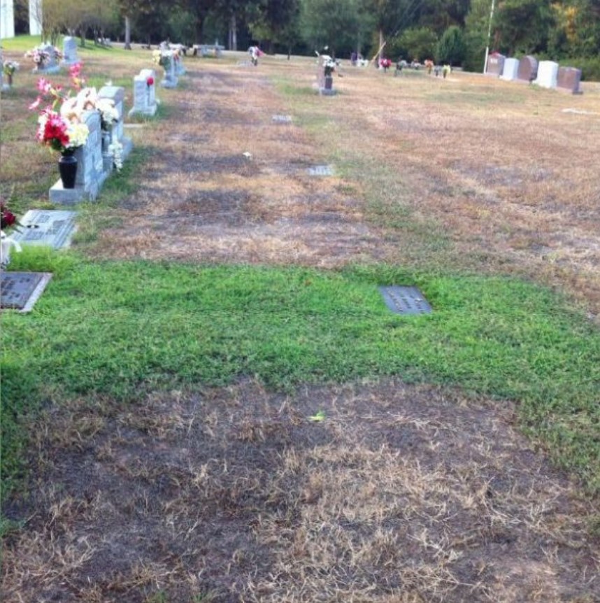 Mom tracks the stranger down after realizing he always secretly visited her son's grave 1