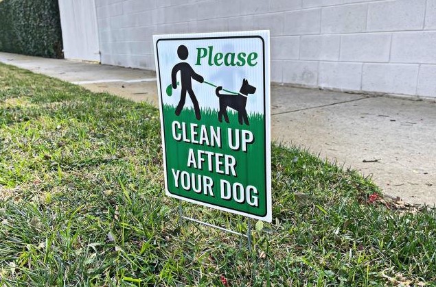 Authorities plan to use dog DNA to track down owners who don't clean up their pet's poop 5