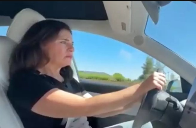 Woman criticizes Elon Musk after being trapped in out-of-battery Tesla 2